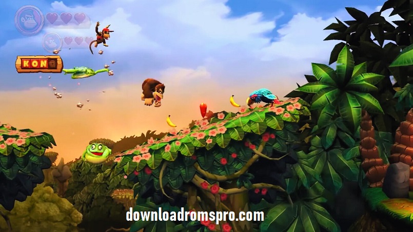 Donkey Kong Country Game