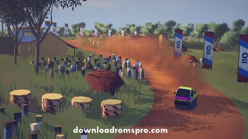 Art of Rally Platforms